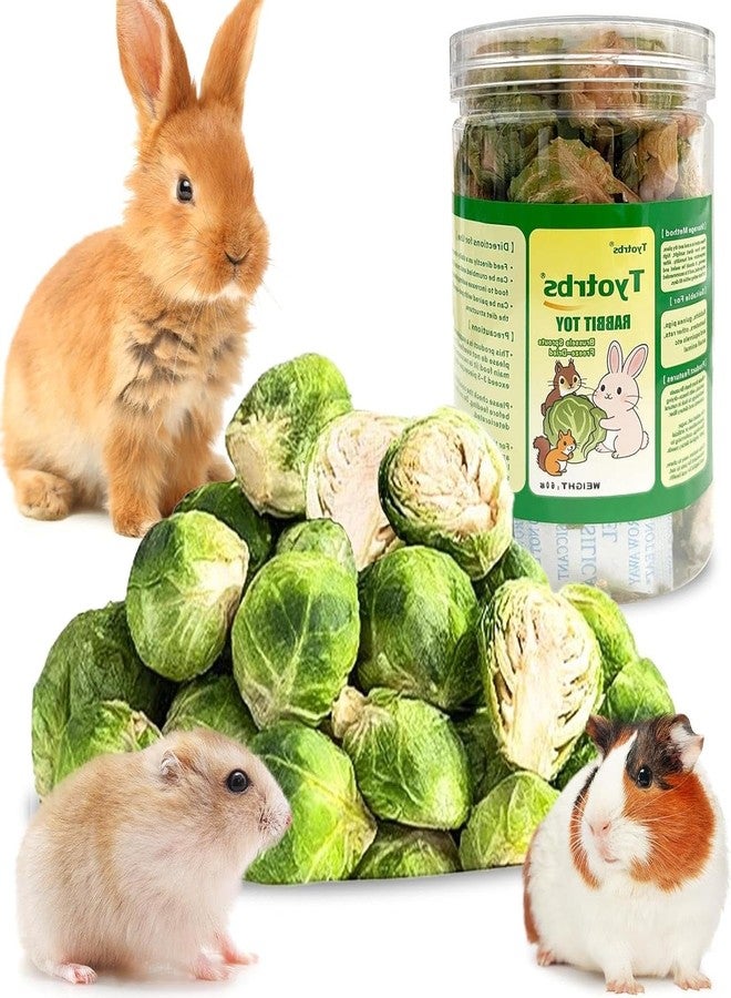 Tyotrbs Freeze Dried Brussels Sprouts Rabbit and Hamster Chew Treats Resealable Jar for Hamsters Bunny Guinea Pigs Groundhogs Natural Fiber Vitamin Snacks Hamsters, Chinchillas (M/ 2.12oz) - Image 1